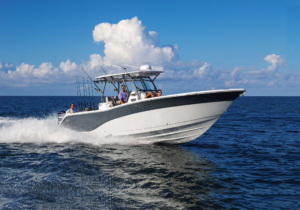 32' Sea Fox